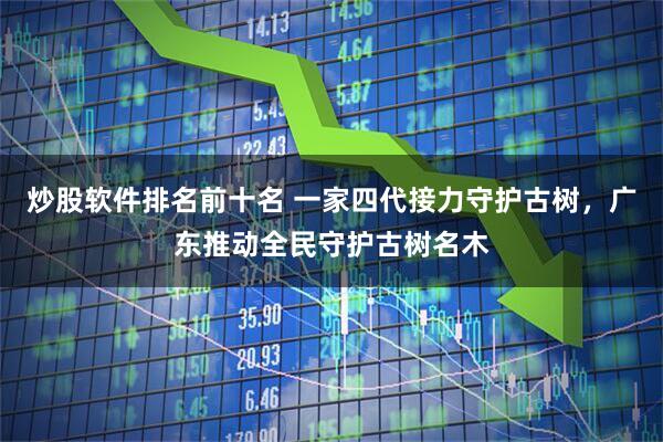 炒股软件排名前十名 一家四代接力守护古树，广东推动全民守护古树名木