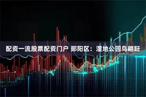 配资一流股票配资门户 郧阳区：湿地公园鸟翩跹